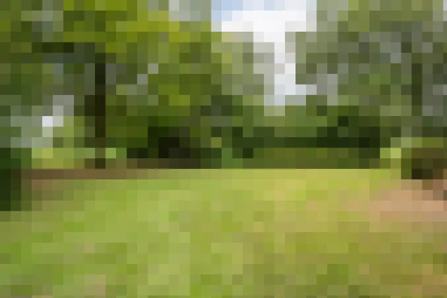 De Weidenweg 57 Ruinen thumbnail 54