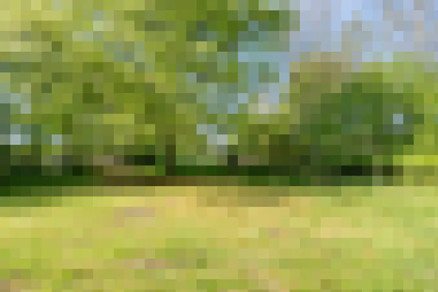 De Weidenweg 57 Ruinen thumbnail 55