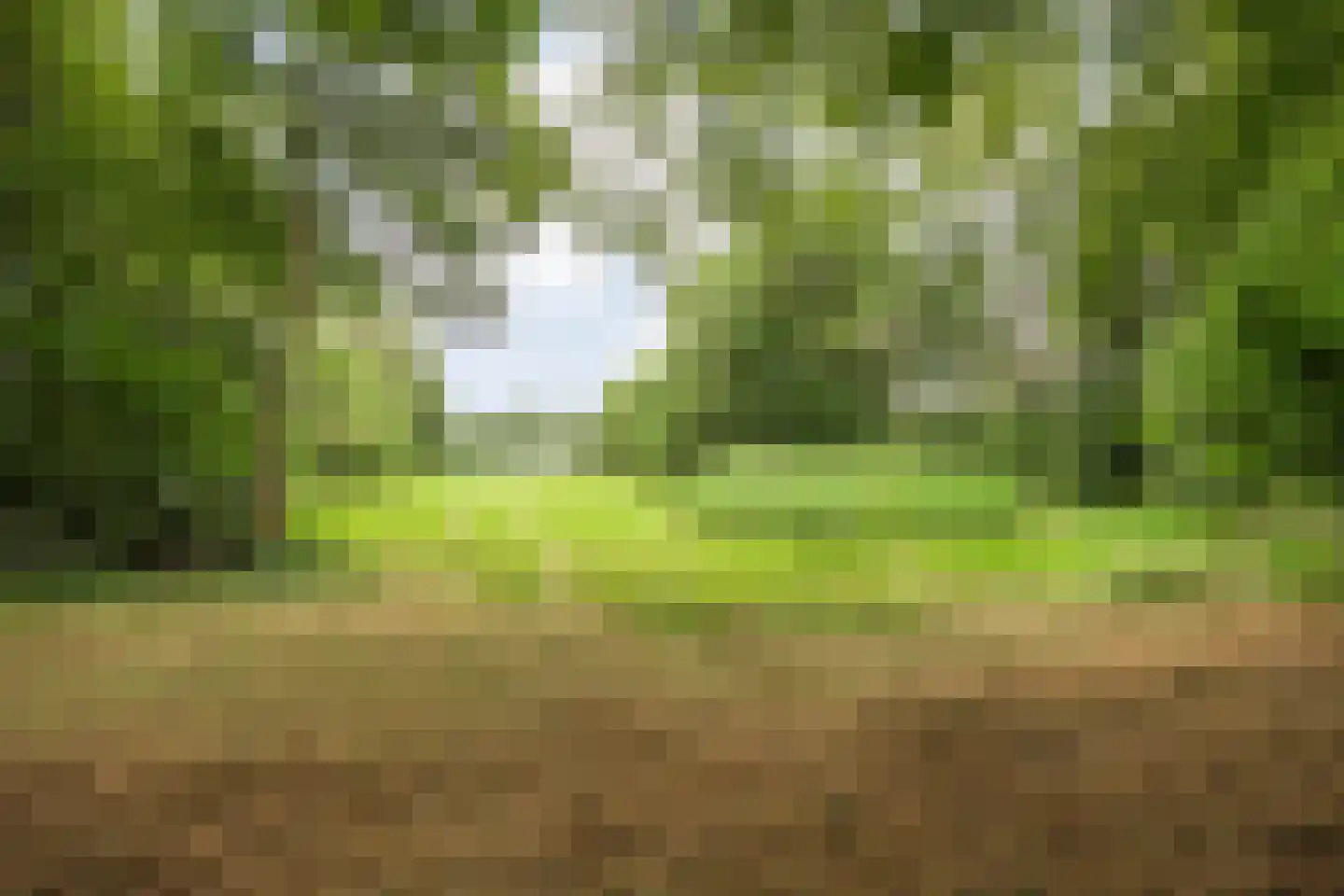 De Weidenweg 57 Ruinen thumbnail 56