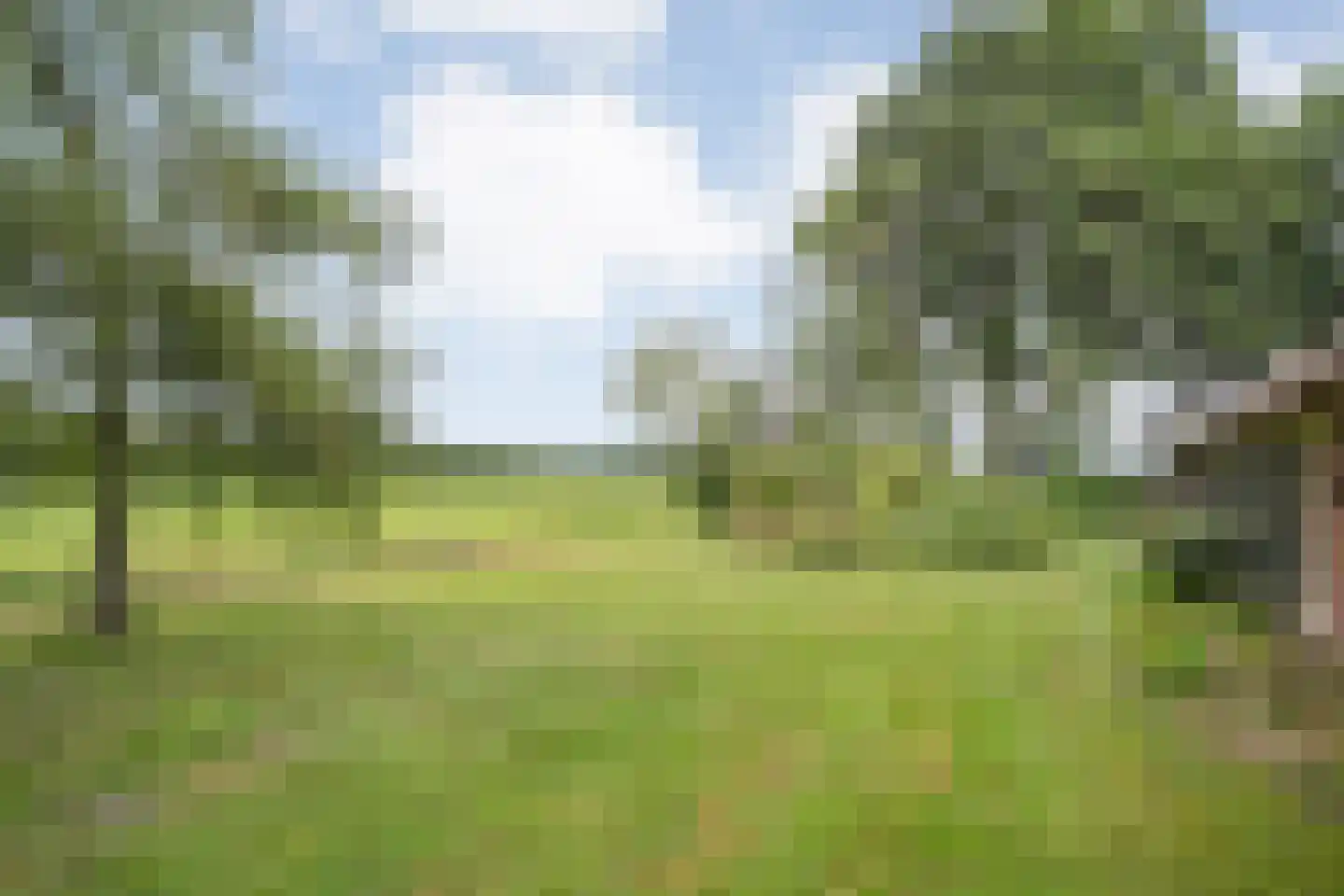 De Weidenweg 57 Ruinen thumbnail 59