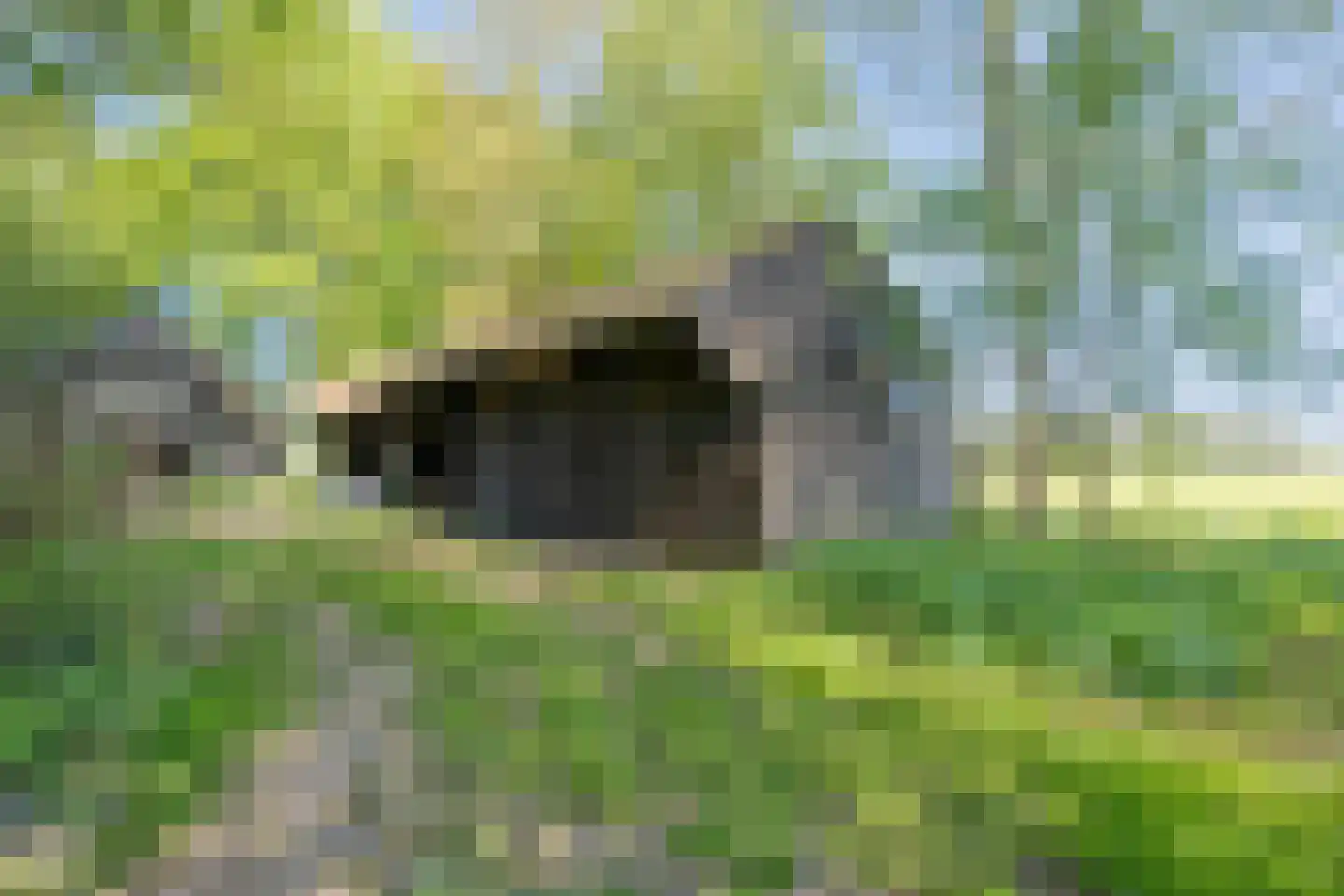 De Weidenweg 57 Ruinen thumbnail 60