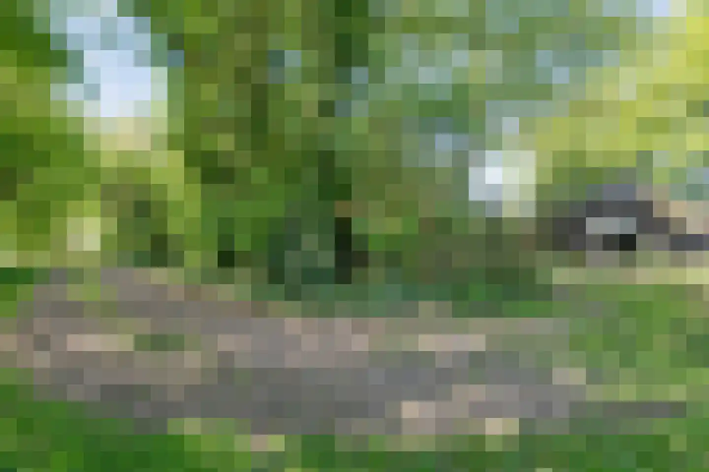 De Weidenweg 57 Ruinen thumbnail 61