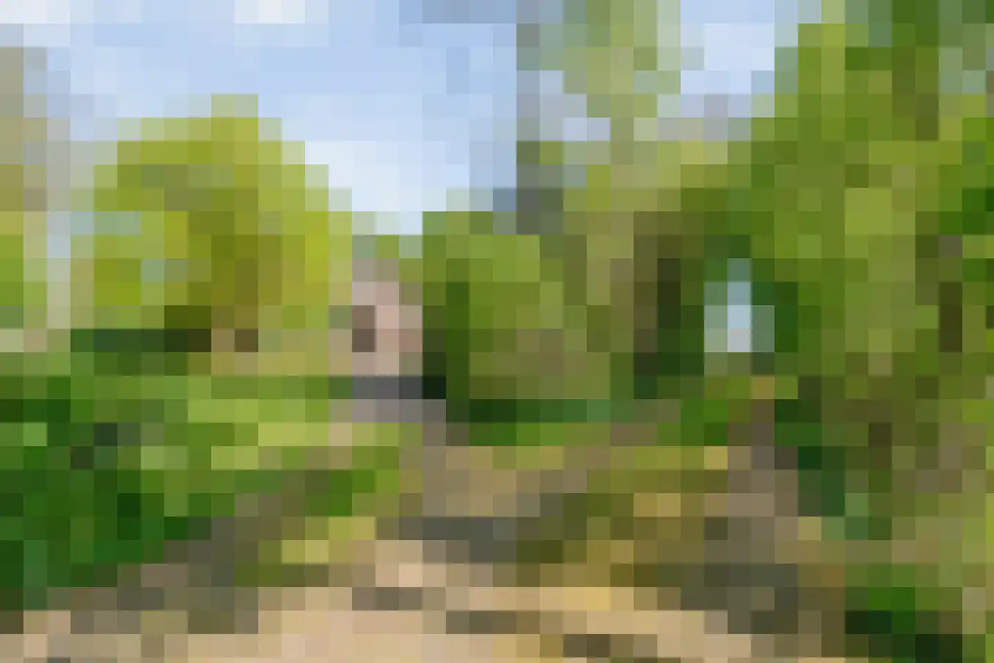 De Weidenweg 57 Ruinen thumbnail 62