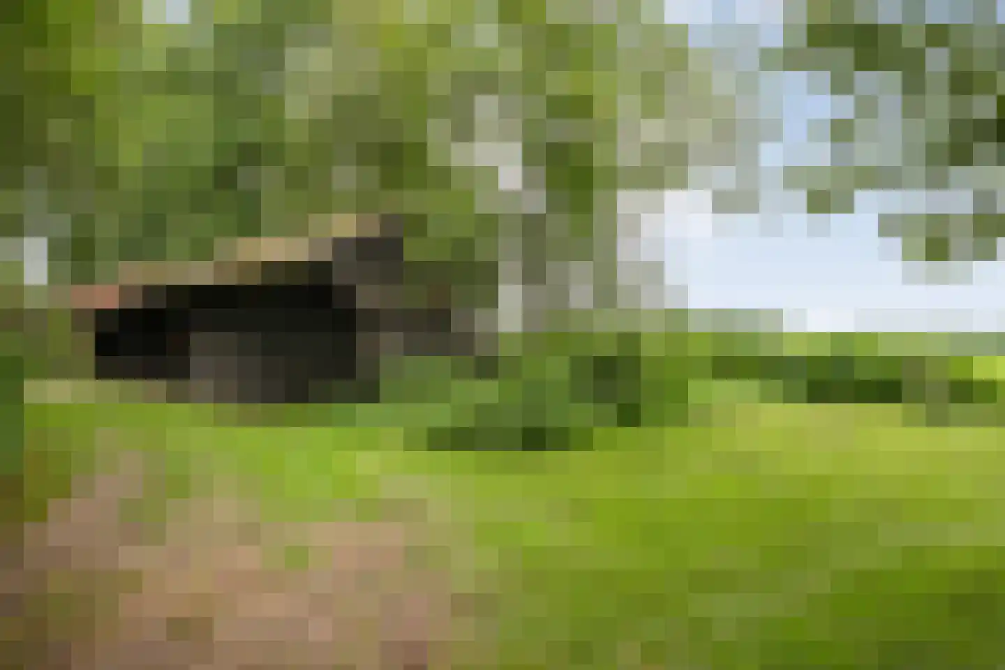 De Weidenweg 57 Ruinen thumbnail 62