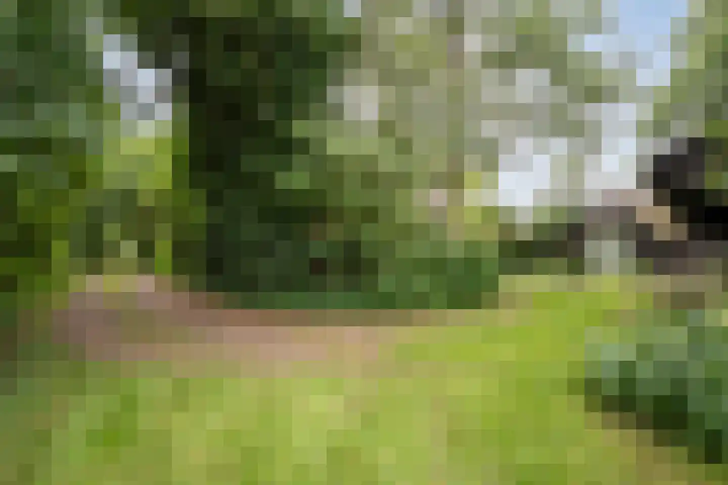 De Weidenweg 57 Ruinen thumbnail 64