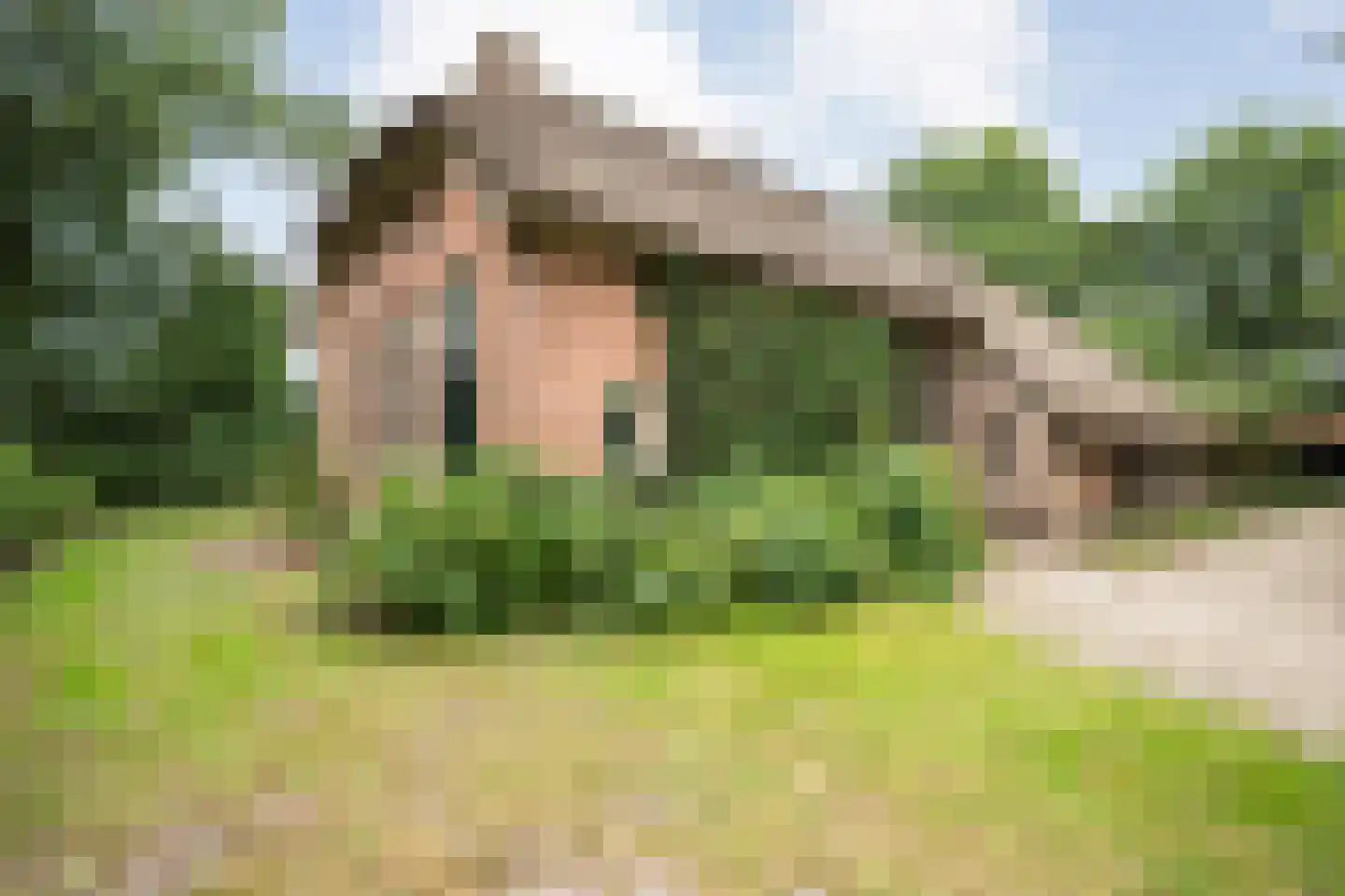 De Weidenweg 57 Ruinen thumbnail 67