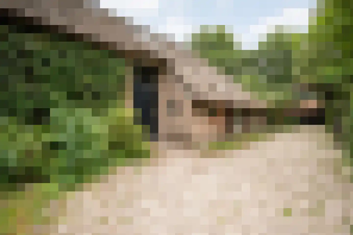 De Weidenweg 57 Ruinen thumbnail 68