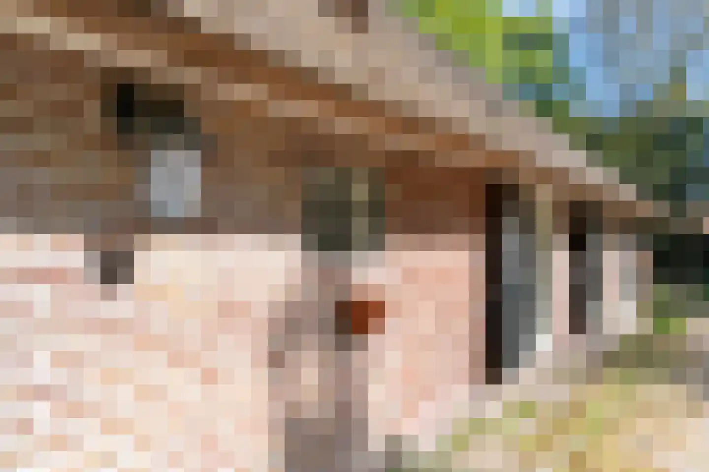De Weidenweg 57 Ruinen thumbnail 7