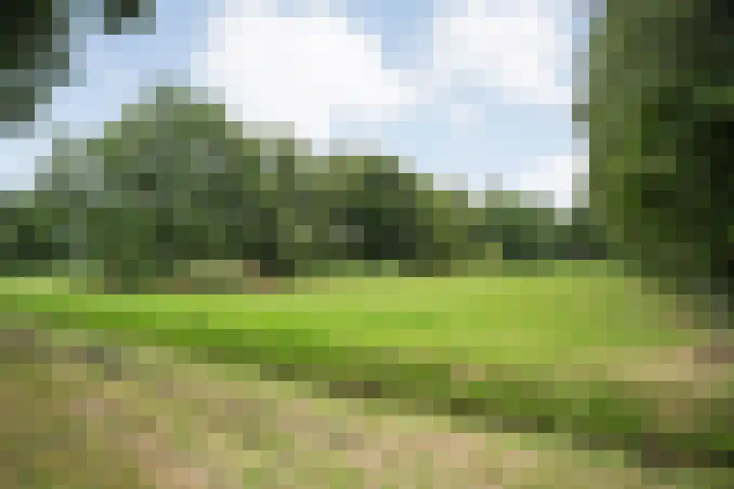 De Weidenweg 57 Ruinen thumbnail 71