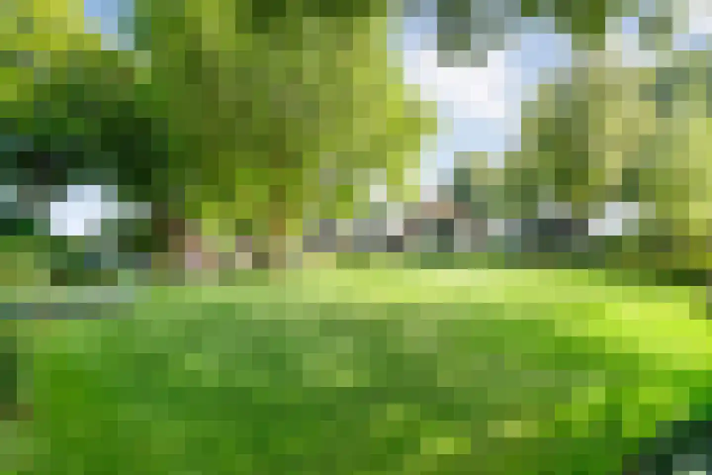 De Weidenweg 70 Ruinerwold thumbnail 10