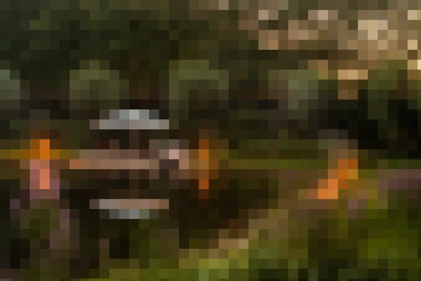 De Weidenweg 70 Ruinerwold thumbnail 102