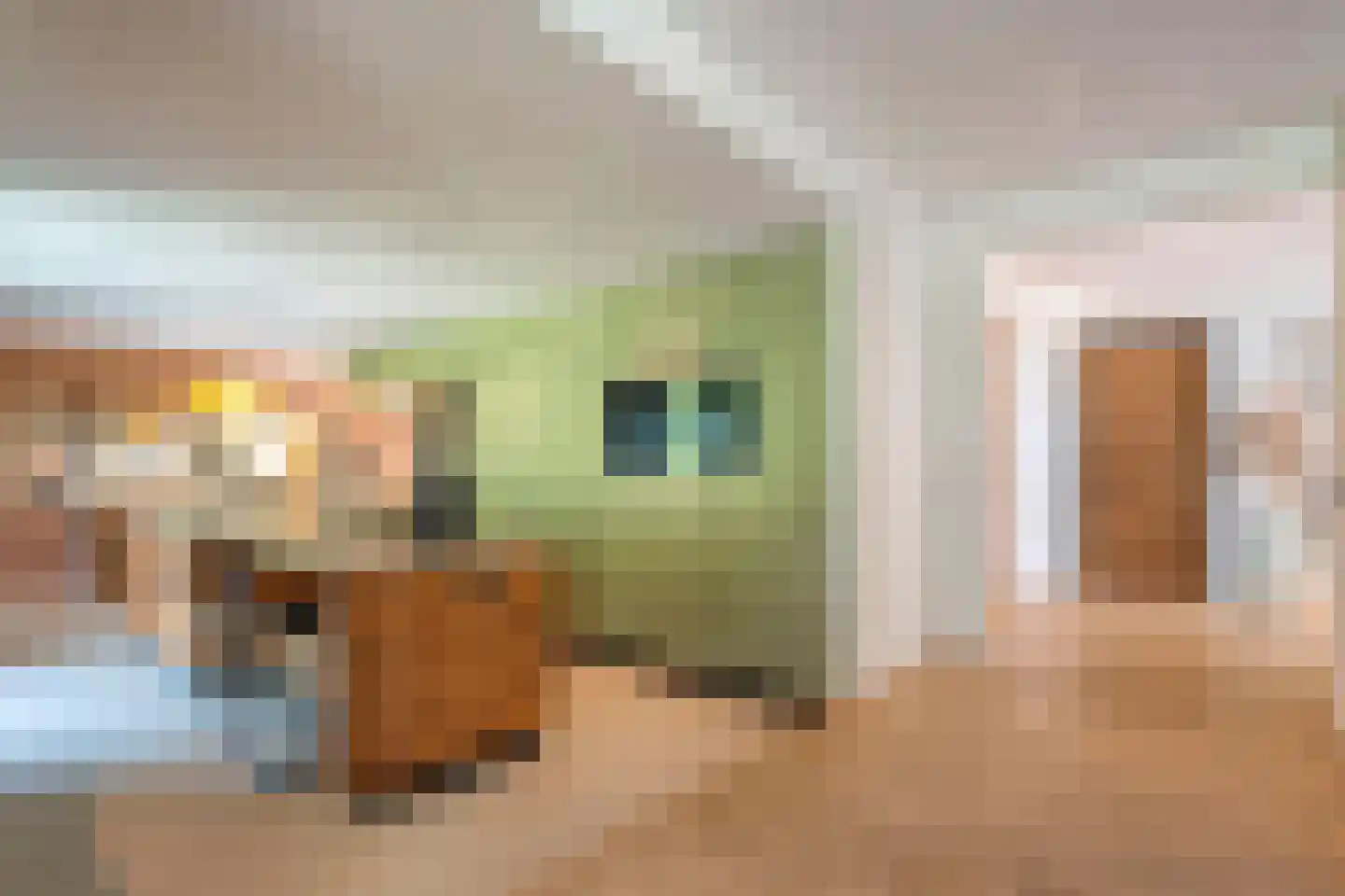De Weidenweg 70 Ruinerwold thumbnail 4