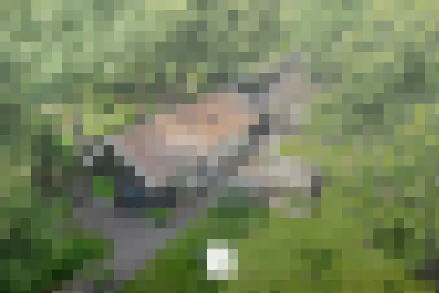De Weidenweg 70 Ruinerwold thumbnail 44