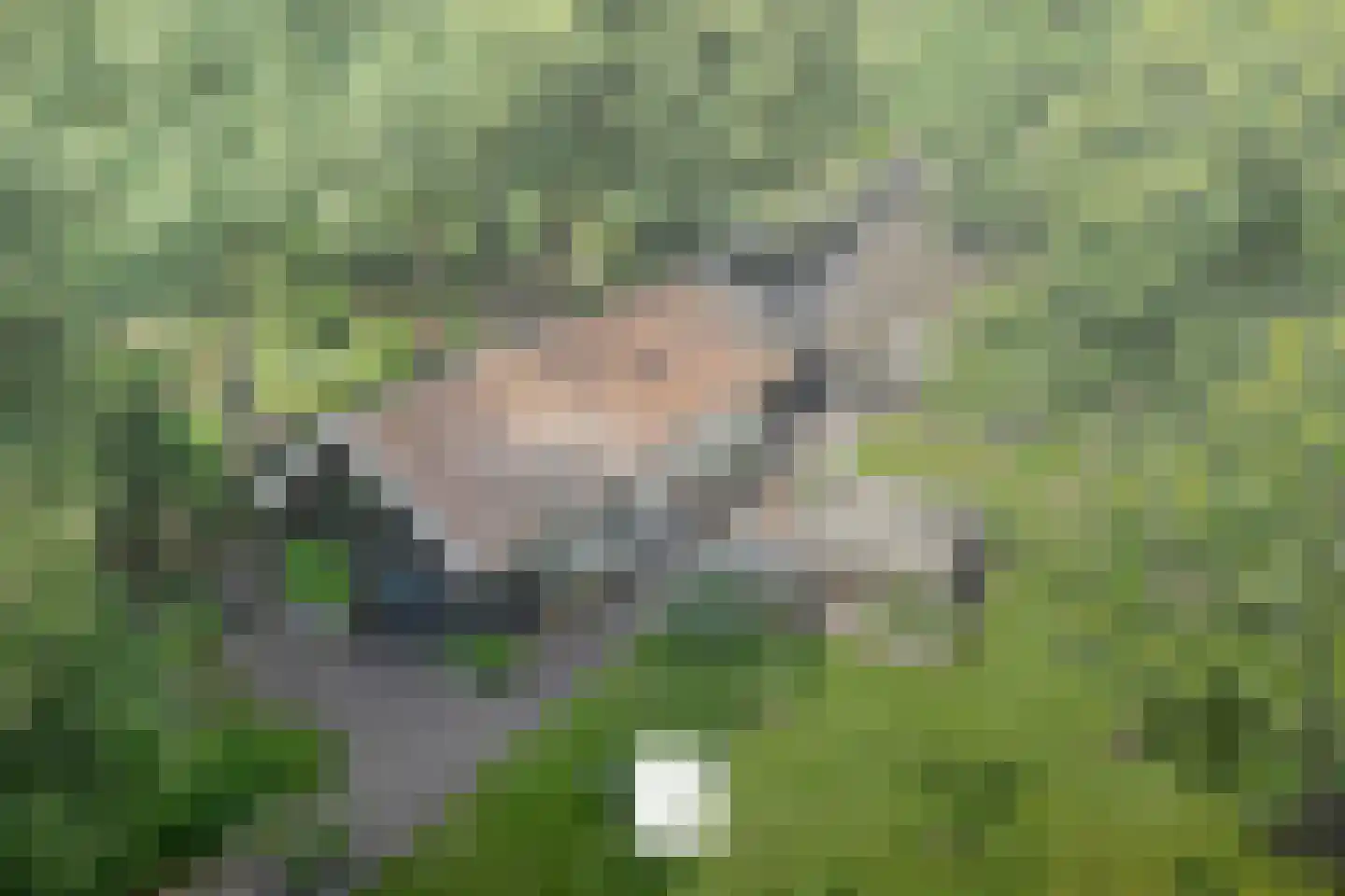 De Weidenweg 70 Ruinerwold thumbnail 45