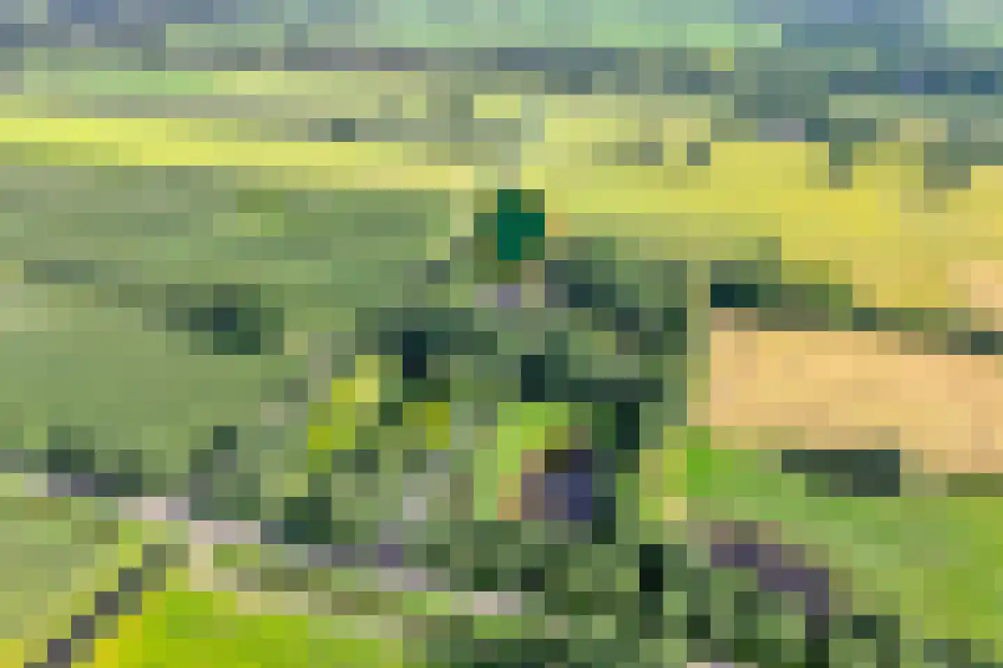 De Weidenweg 70 Ruinerwold thumbnail 5