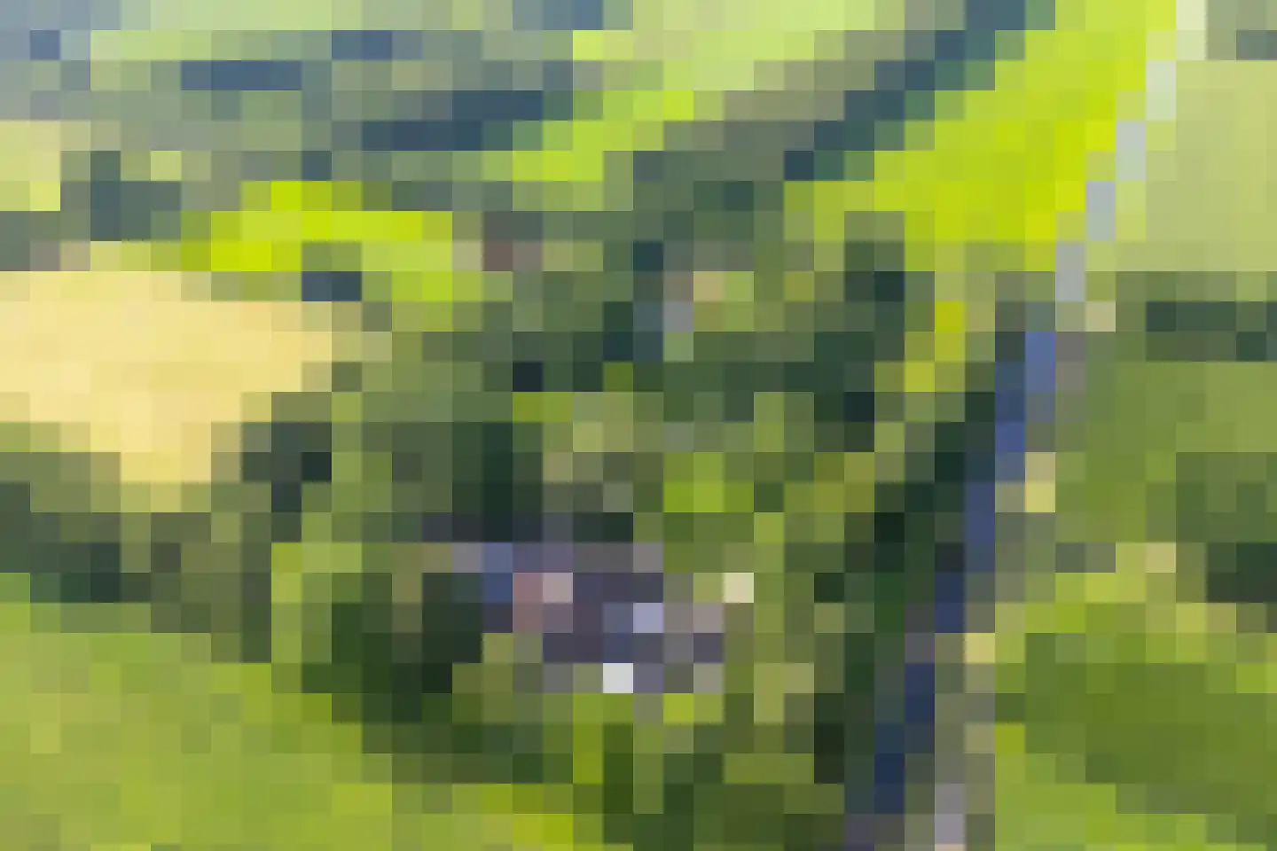 De Weidenweg 70 Ruinerwold thumbnail 6