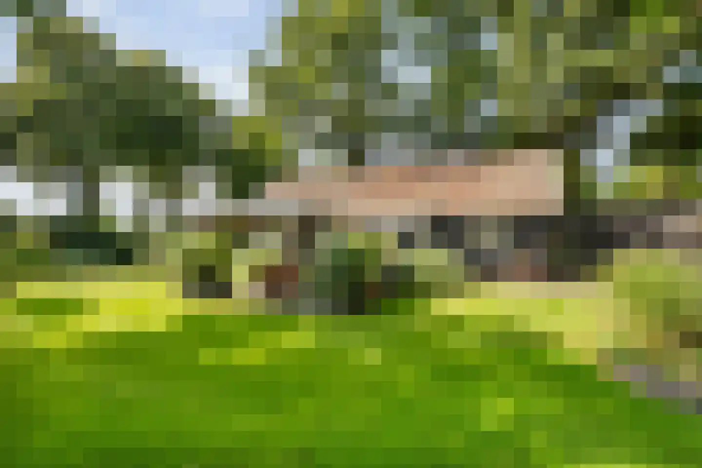 De Weidenweg 70 Ruinerwold thumbnail 61