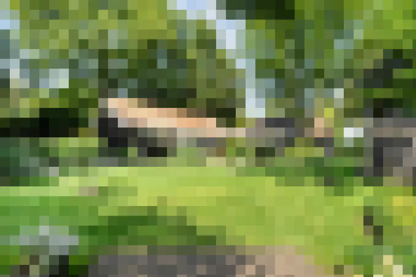 De Weidenweg 70 Ruinerwold thumbnail 62