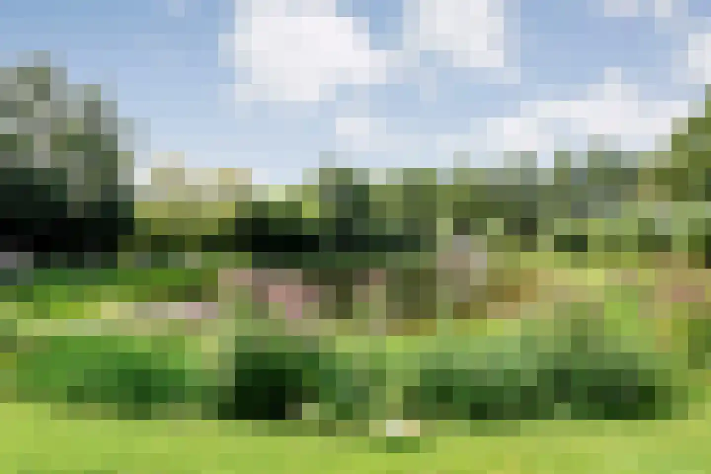De Weidenweg 70 Ruinerwold thumbnail 65