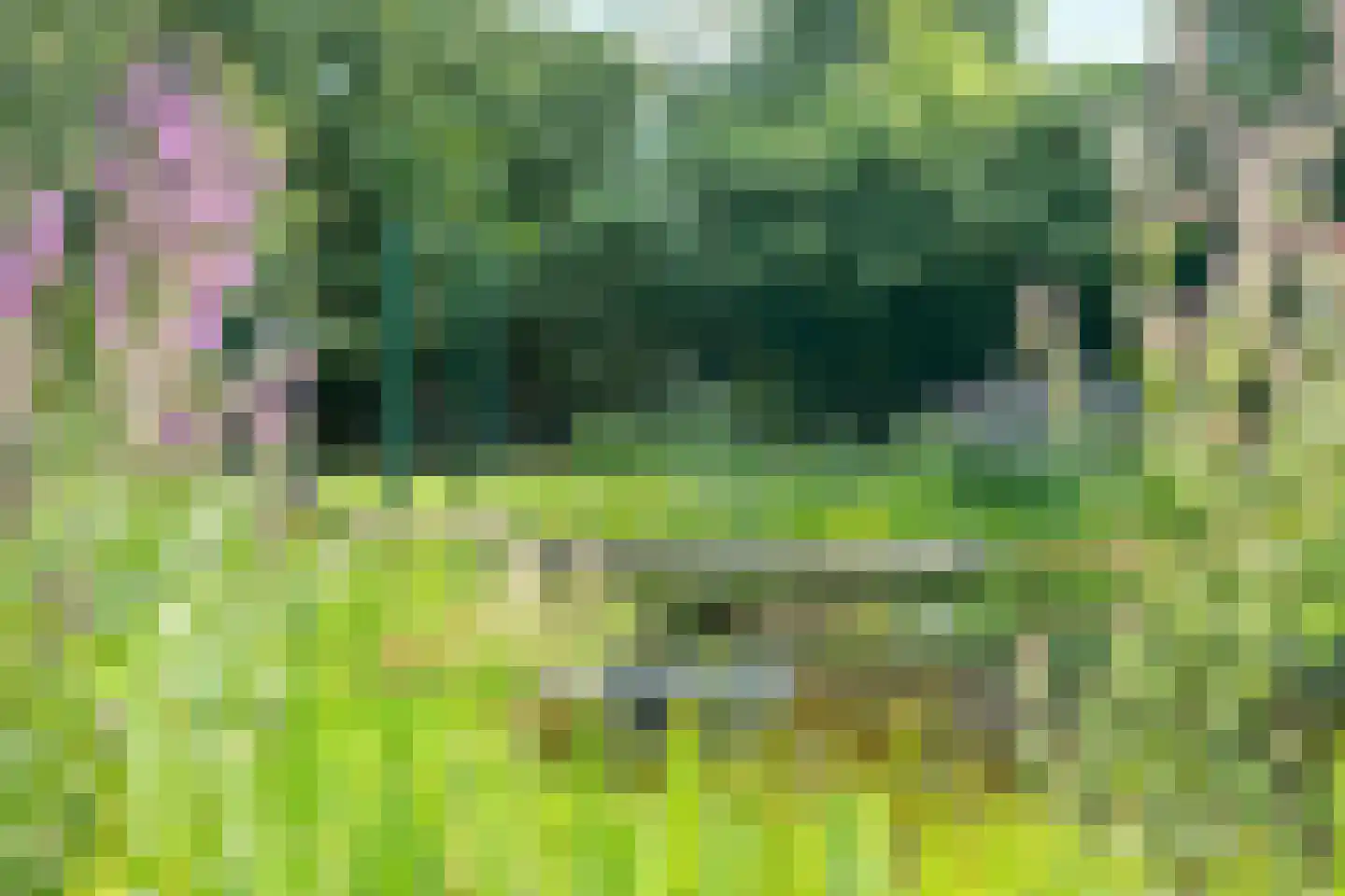 De Weidenweg 70 Ruinerwold thumbnail 66