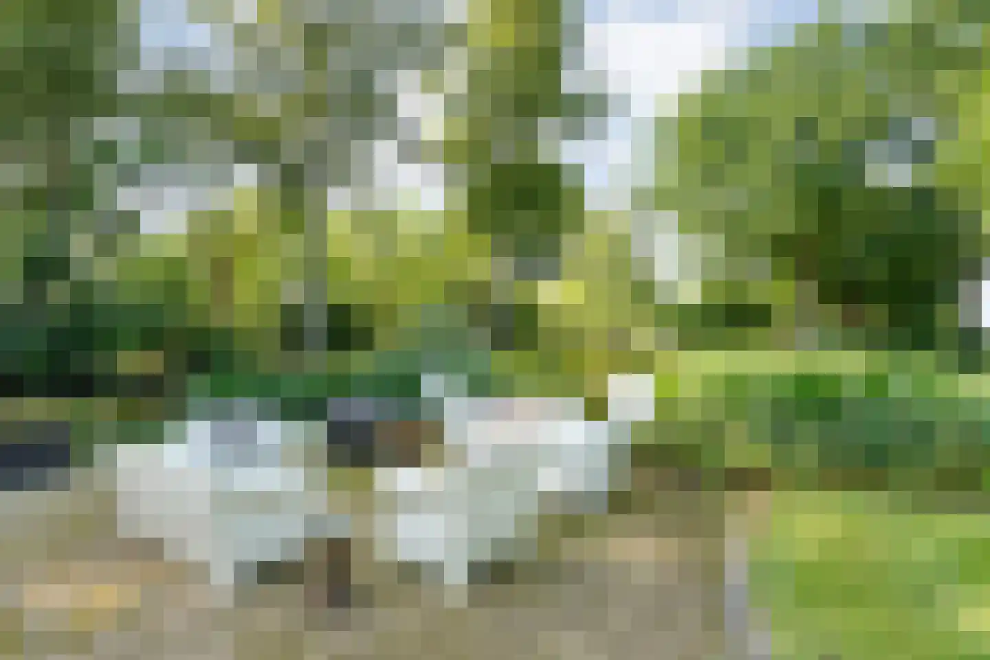 De Weidenweg 70 Ruinerwold thumbnail 67