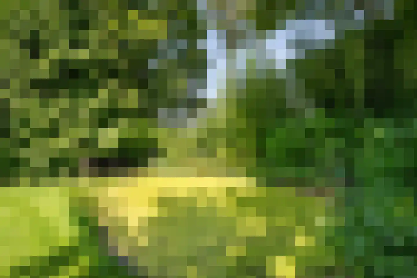 De Weidenweg 70 Ruinerwold thumbnail 68