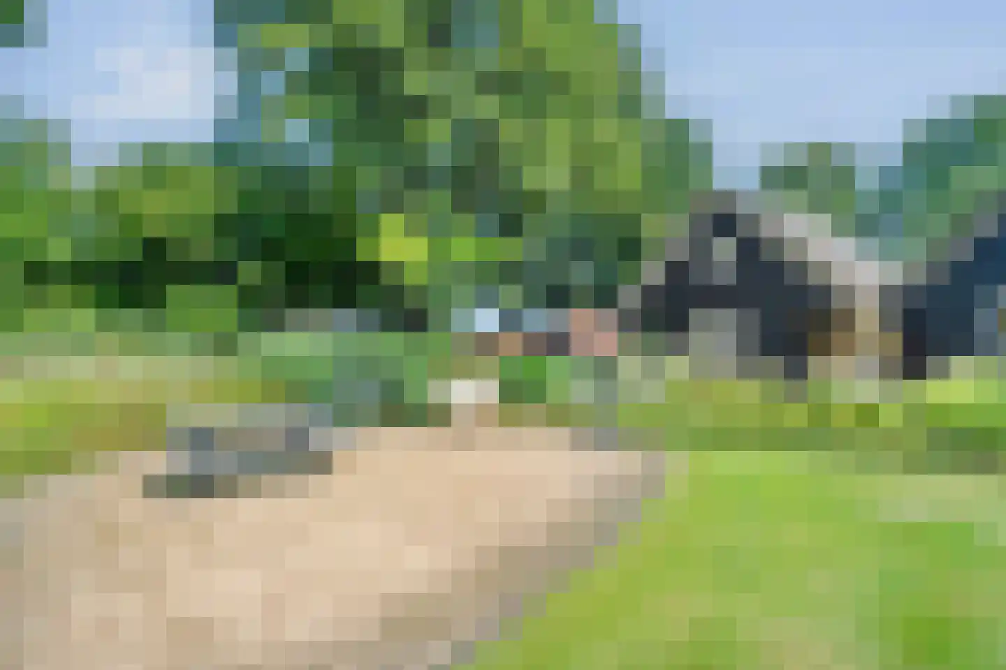 De Weidenweg 70 Ruinerwold thumbnail 69