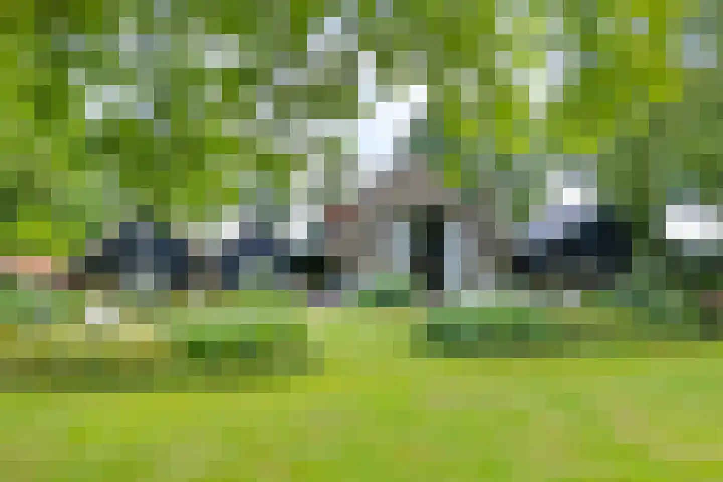 De Weidenweg 70 Ruinerwold thumbnail 7