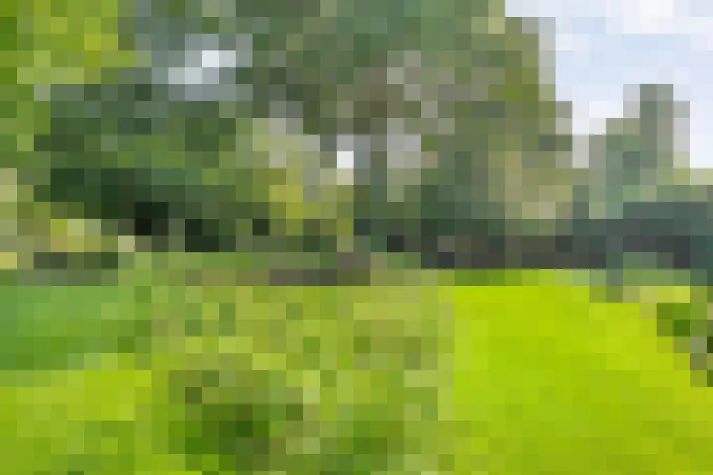 De Weidenweg 70 Ruinerwold thumbnail 71