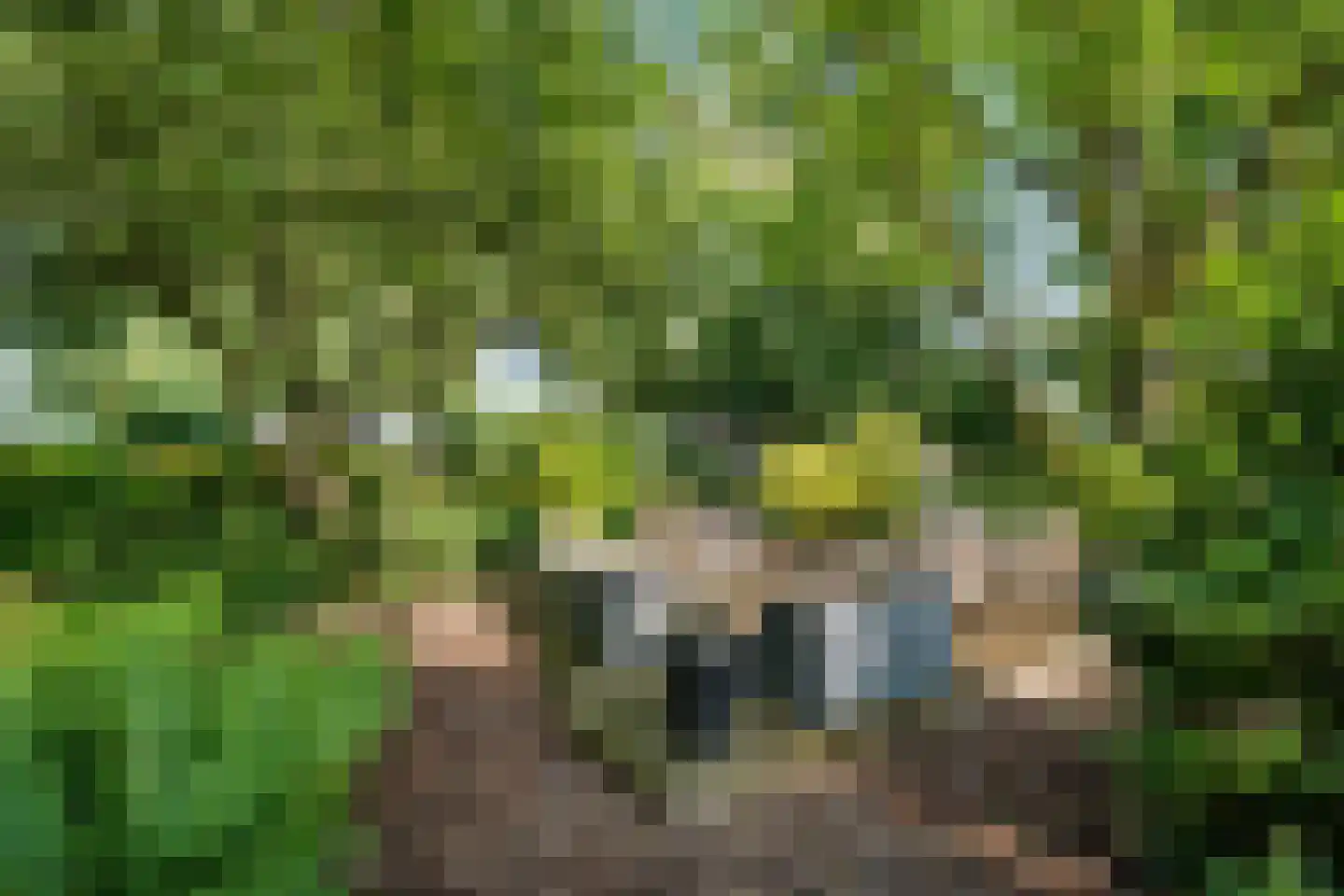 De Weidenweg 70 Ruinerwold thumbnail 72