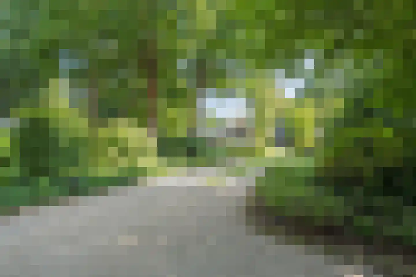 De Weidenweg 70 Ruinerwold thumbnail 73