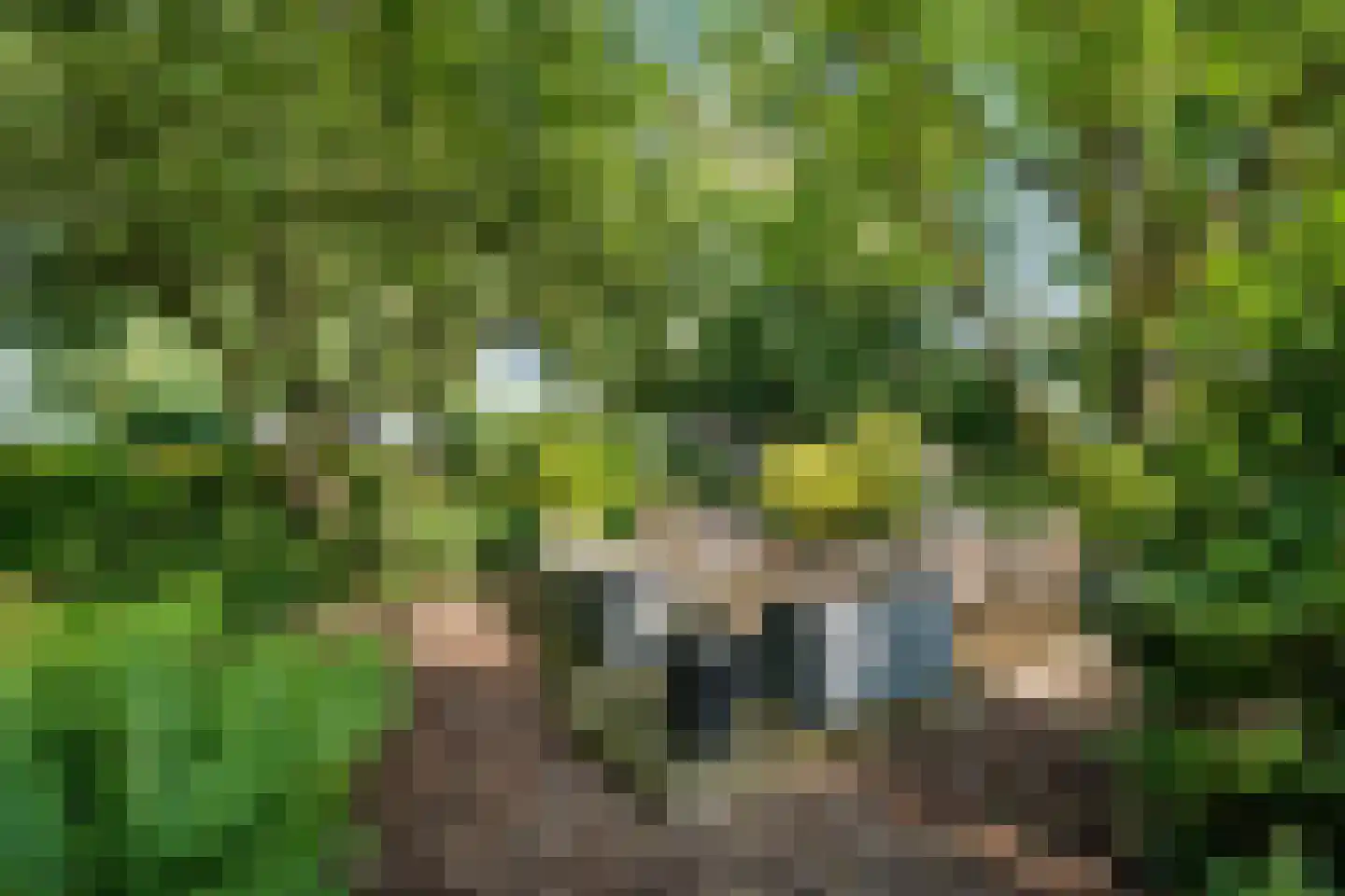 De Weidenweg 70 Ruinerwold thumbnail 73
