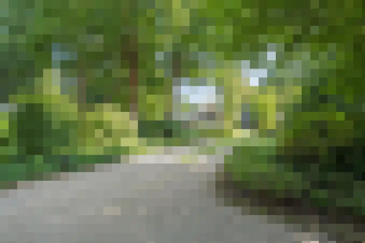 De Weidenweg 70 Ruinerwold thumbnail 74