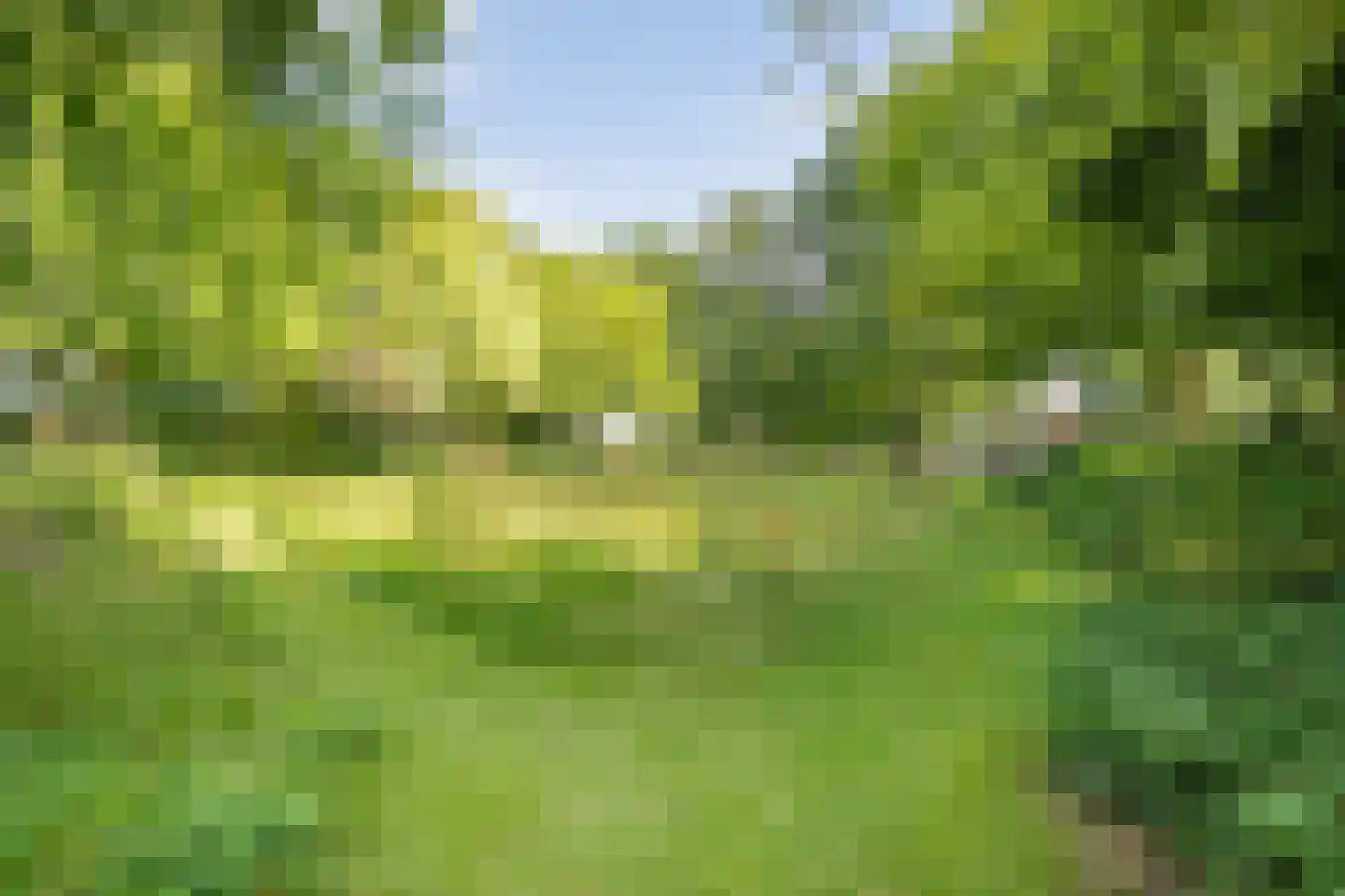 De Weidenweg 70 Ruinerwold thumbnail 74