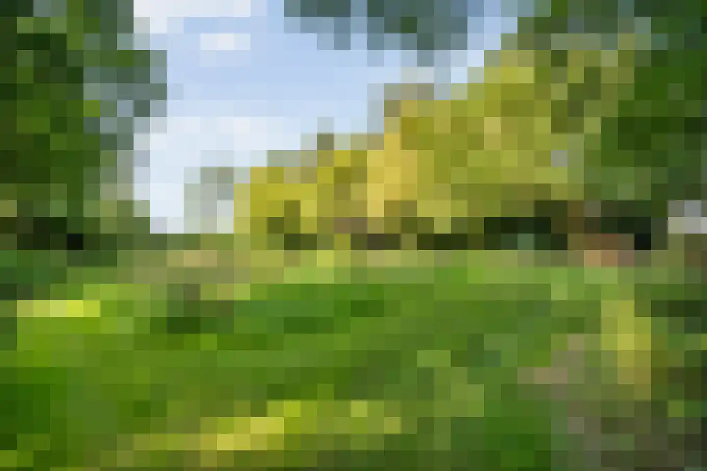 De Weidenweg 70 Ruinerwold thumbnail 75