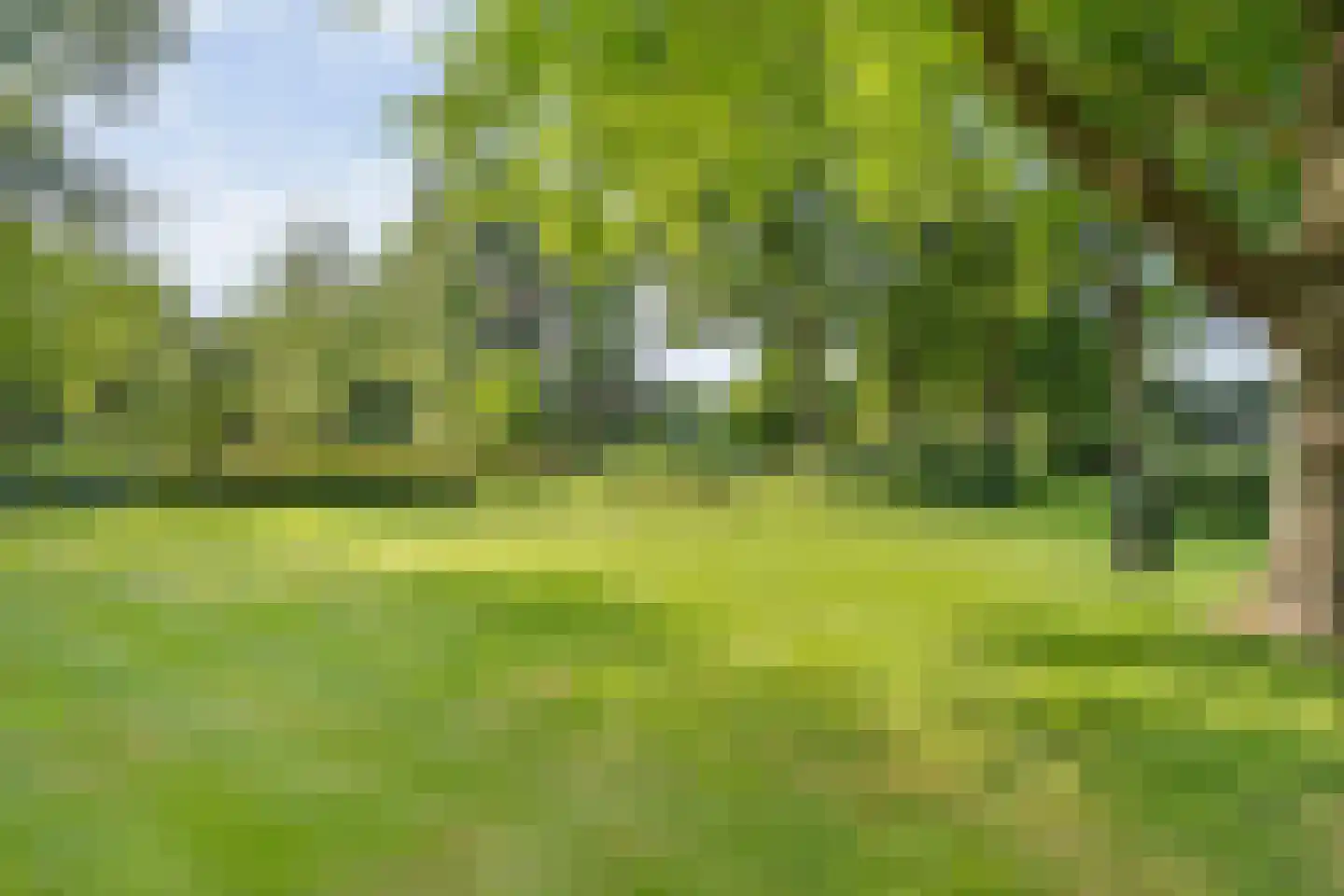 De Weidenweg 70 Ruinerwold thumbnail 76
