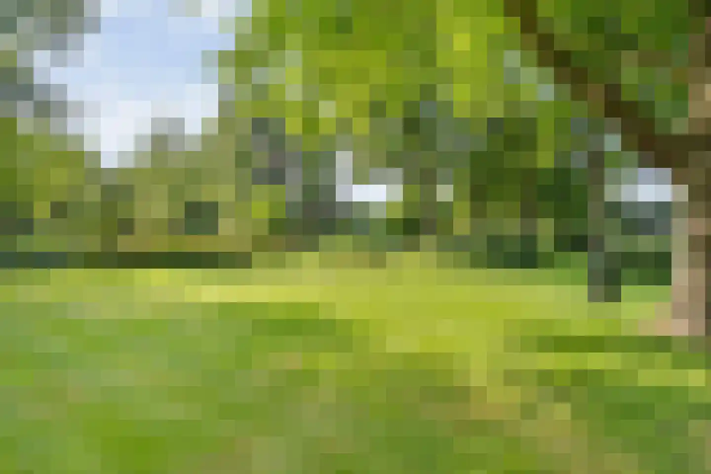 De Weidenweg 70 Ruinerwold thumbnail 77