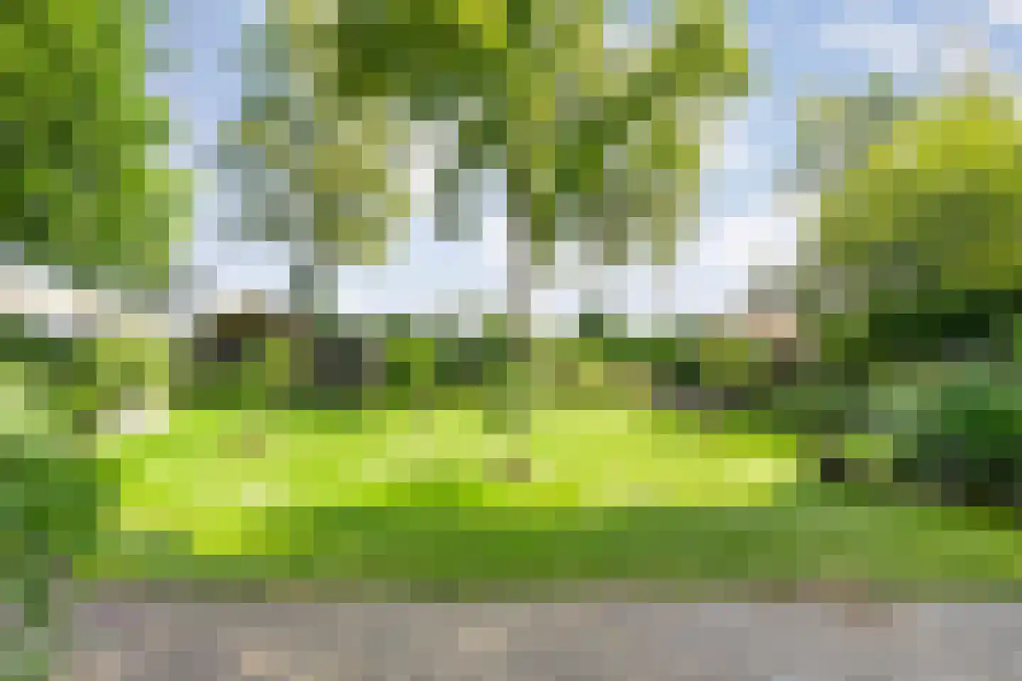 De Weidenweg 70 Ruinerwold thumbnail 77