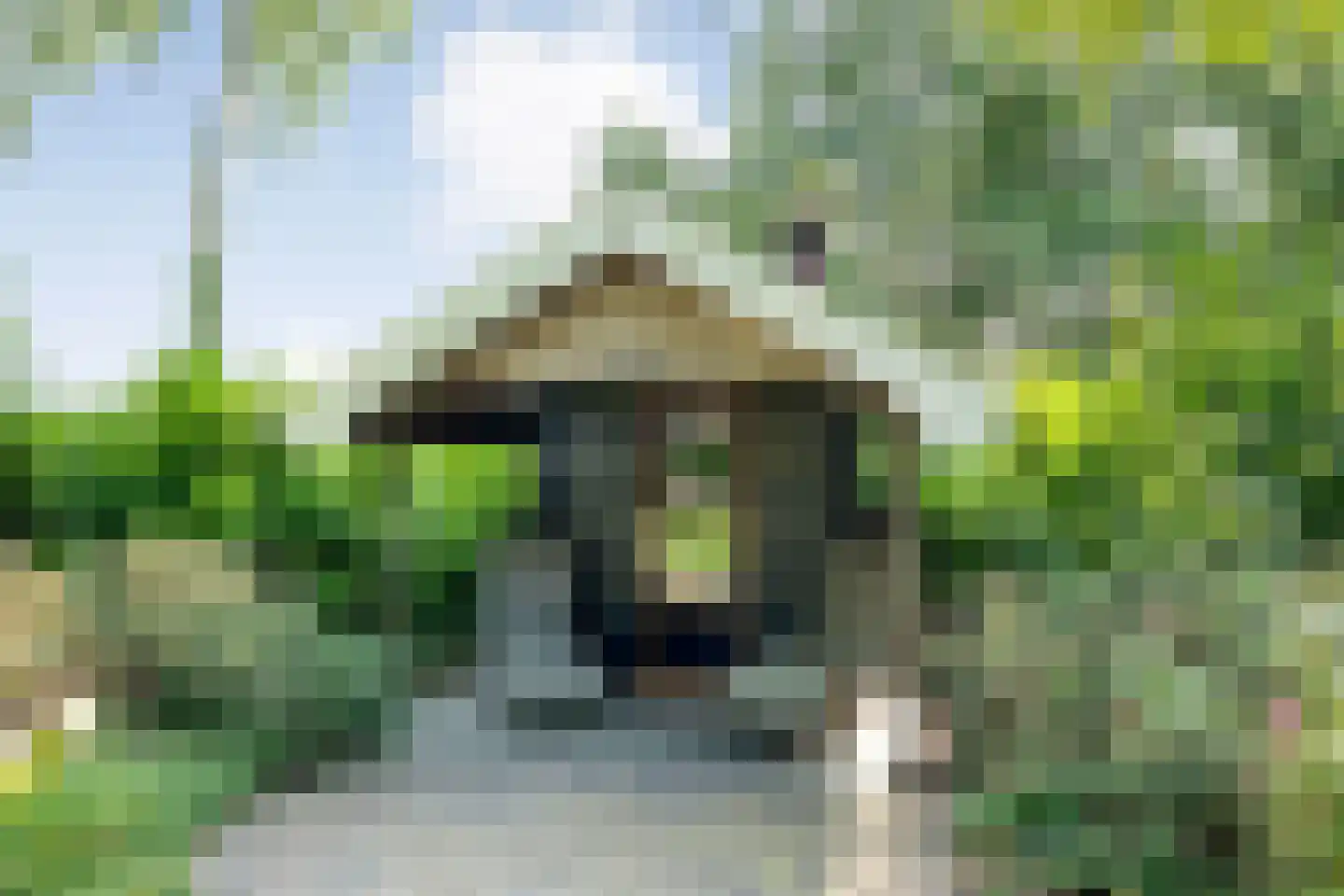 De Weidenweg 70 Ruinerwold thumbnail 78