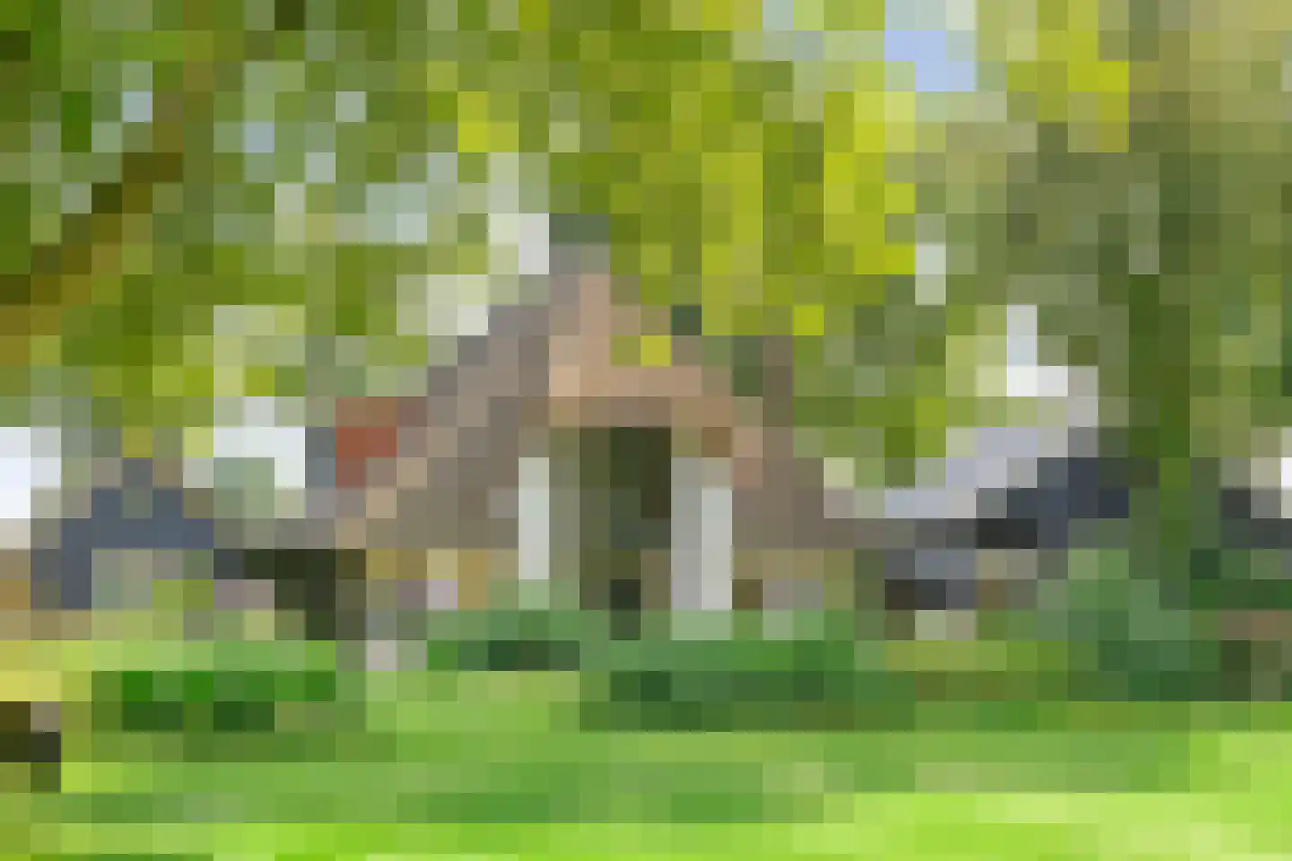 De Weidenweg 70 Ruinerwold thumbnail 8