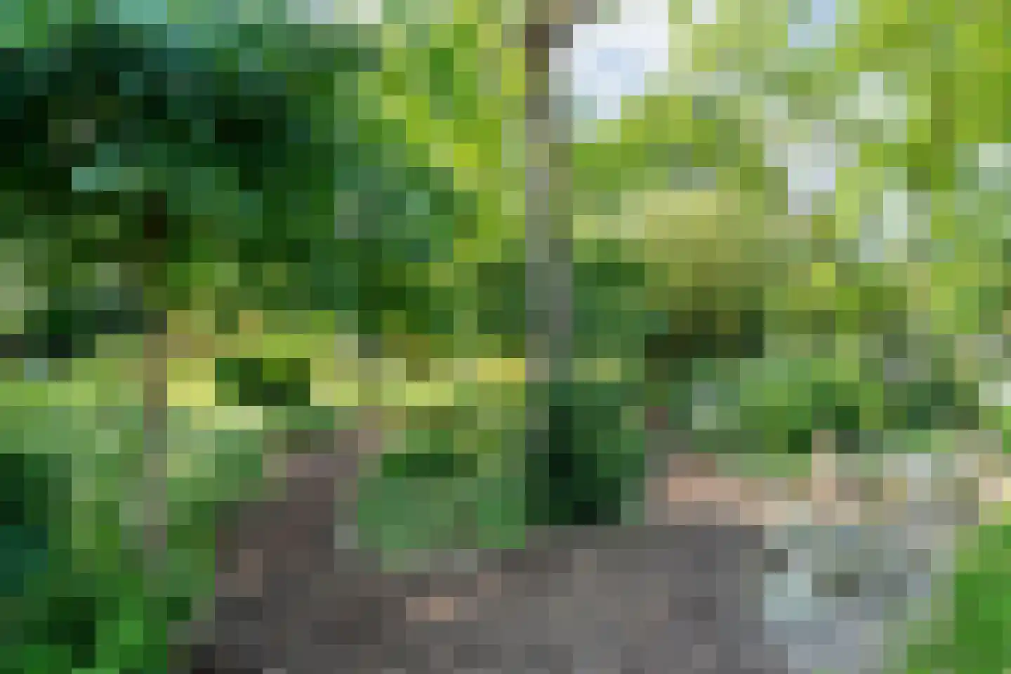 De Weidenweg 70 Ruinerwold thumbnail 80