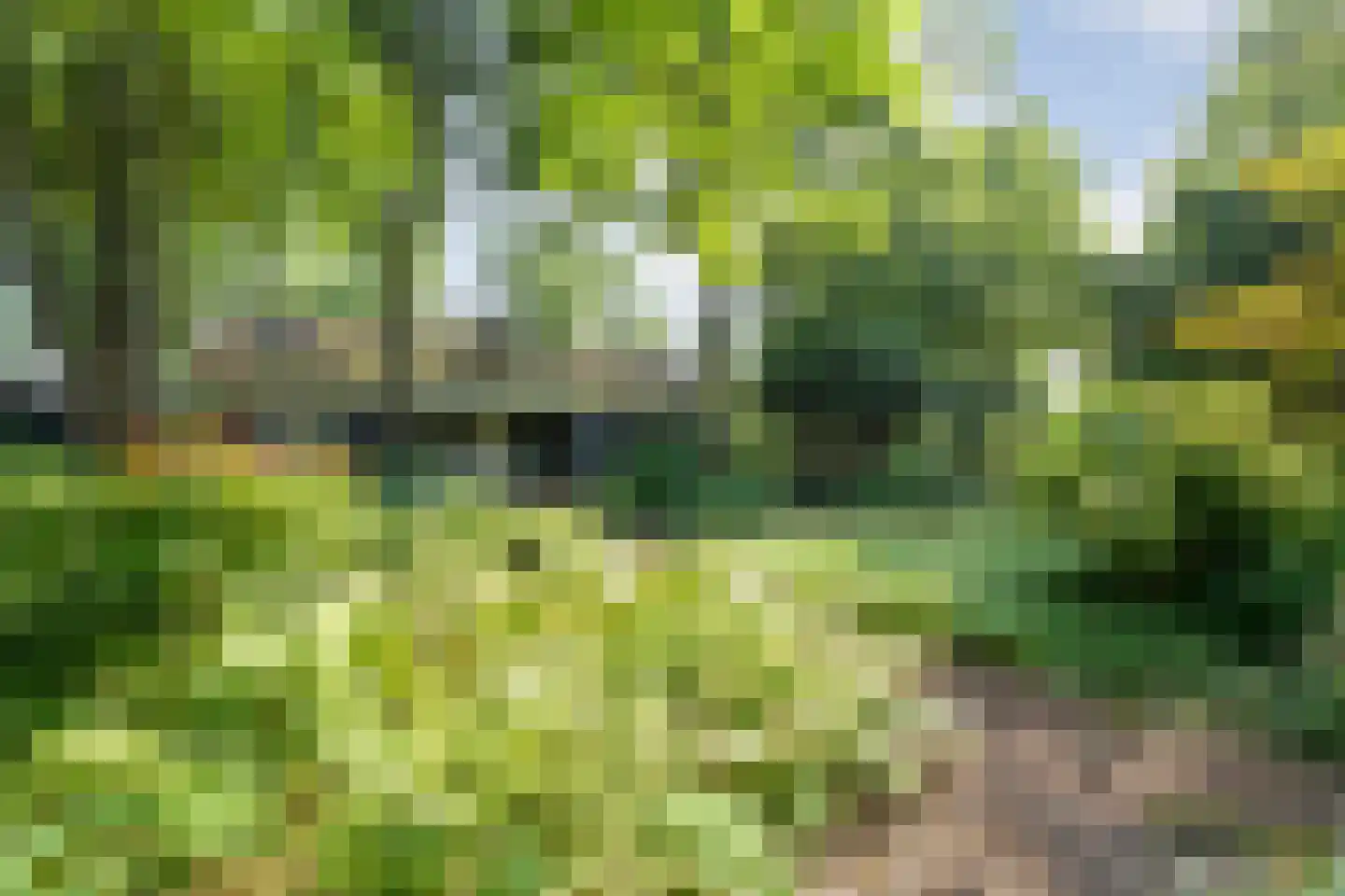 De Weidenweg 70 Ruinerwold thumbnail 81