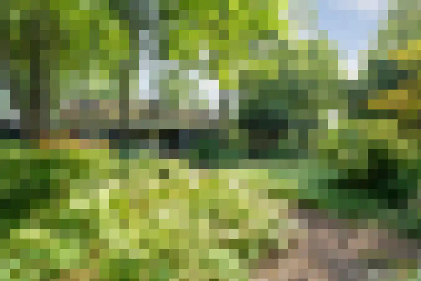 De Weidenweg 70 Ruinerwold thumbnail 82