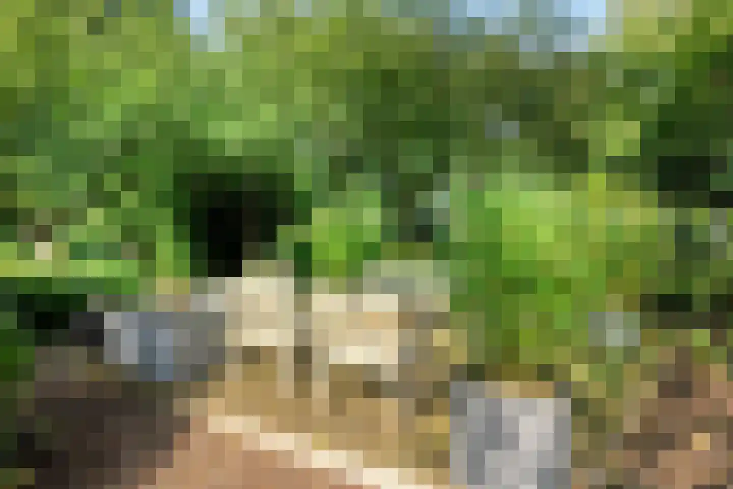 De Weidenweg 70 Ruinerwold thumbnail 83