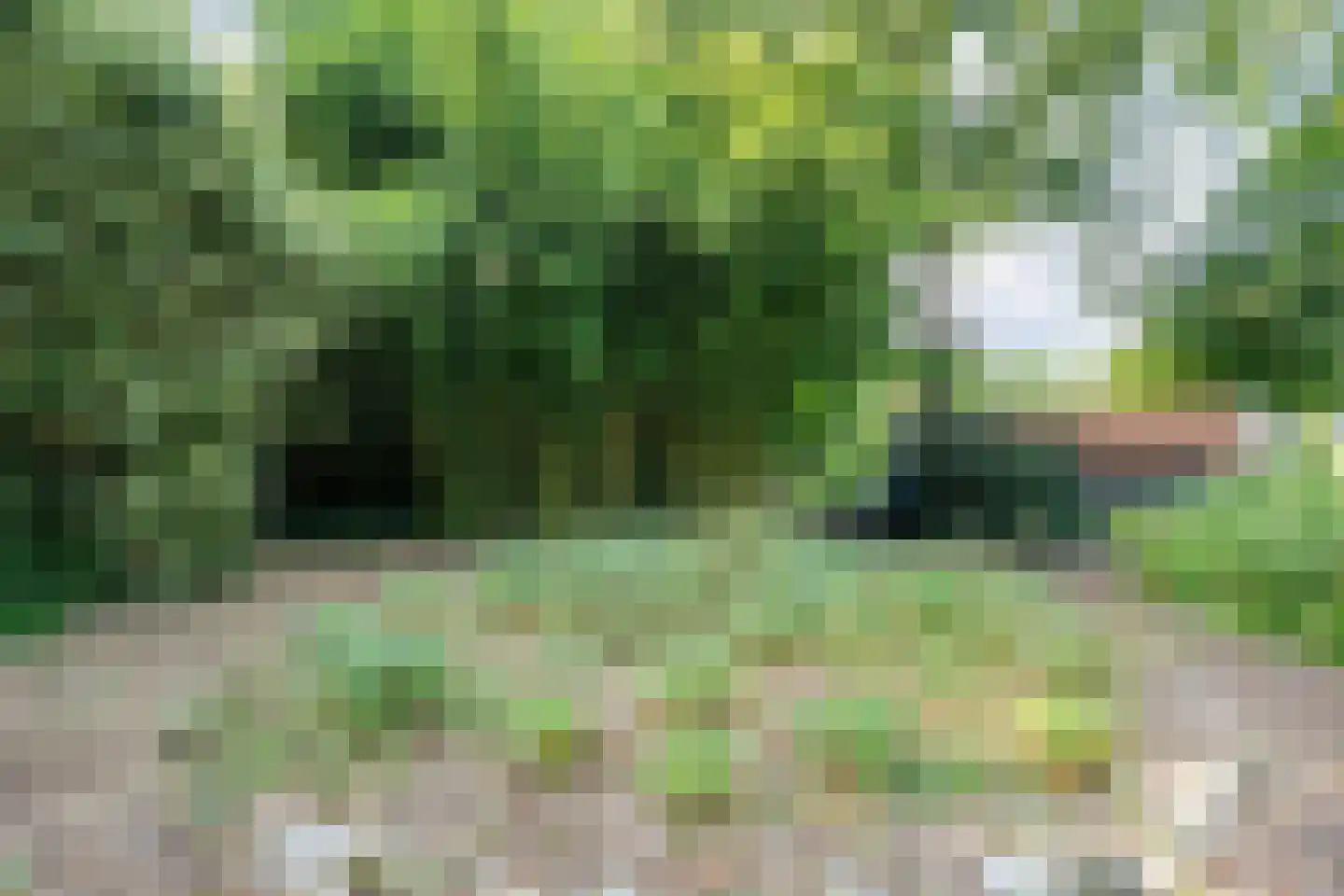 De Weidenweg 70 Ruinerwold thumbnail 84