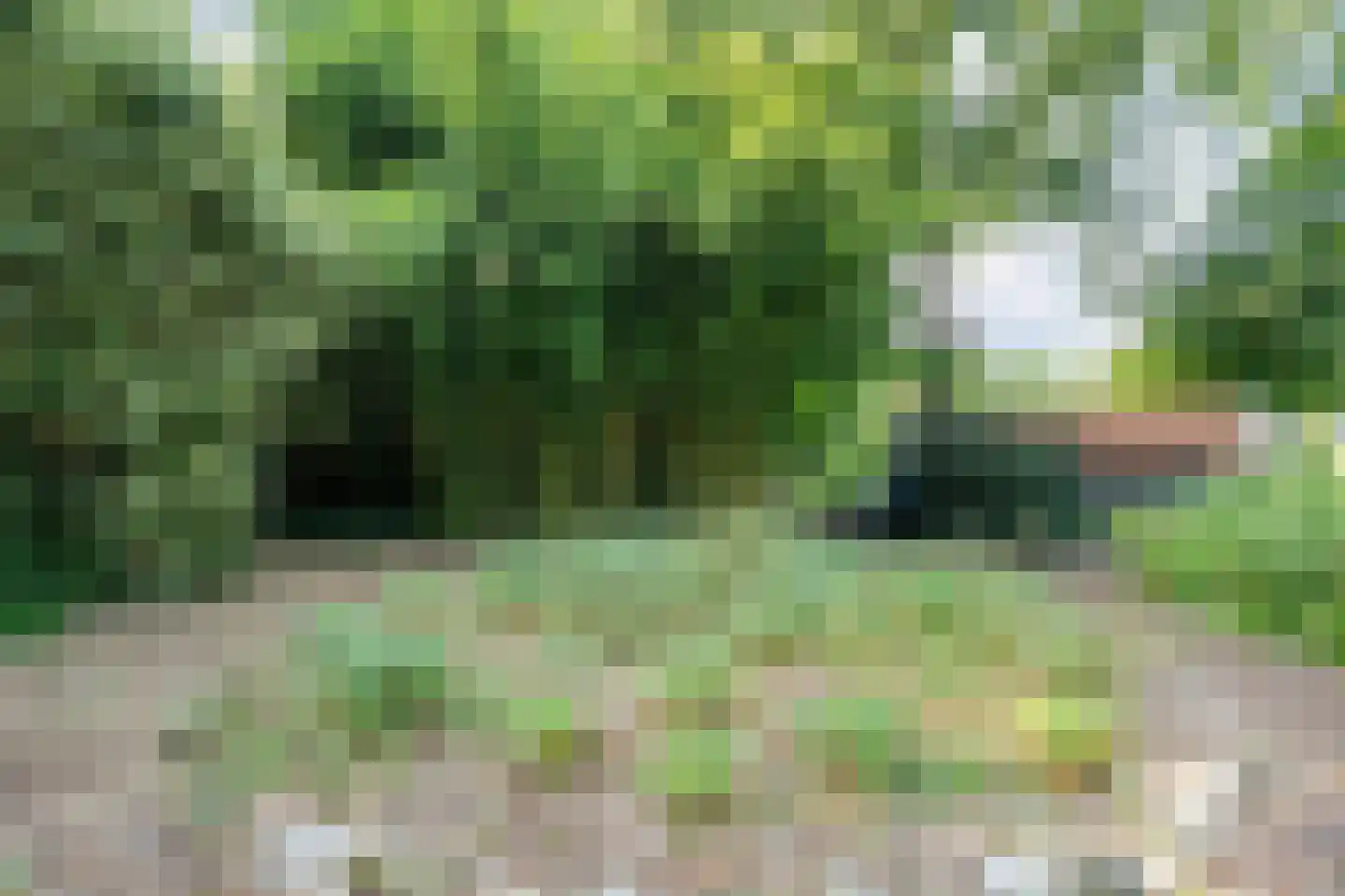 De Weidenweg 70 Ruinerwold thumbnail 85