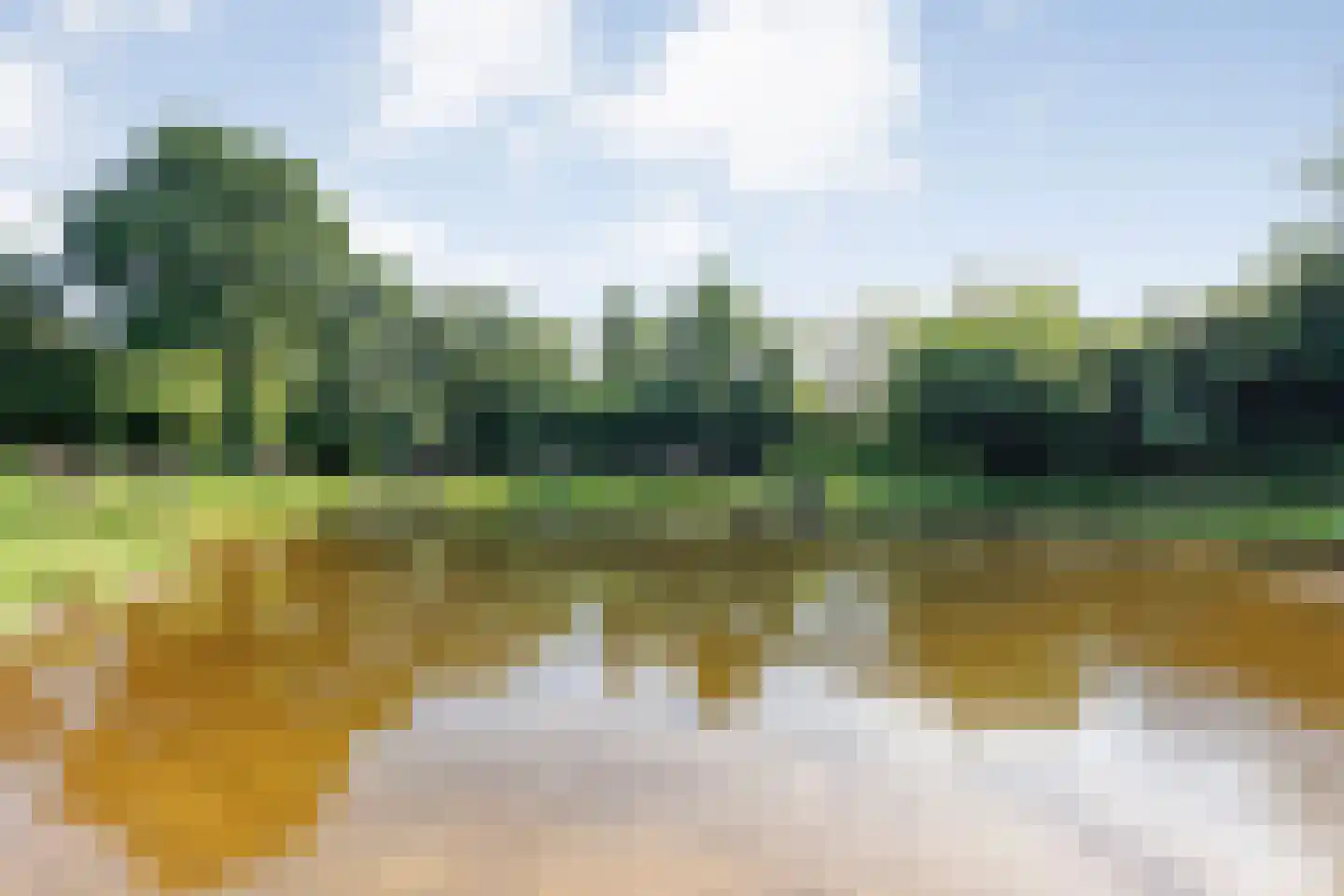 De Weidenweg 70 Ruinerwold thumbnail 86