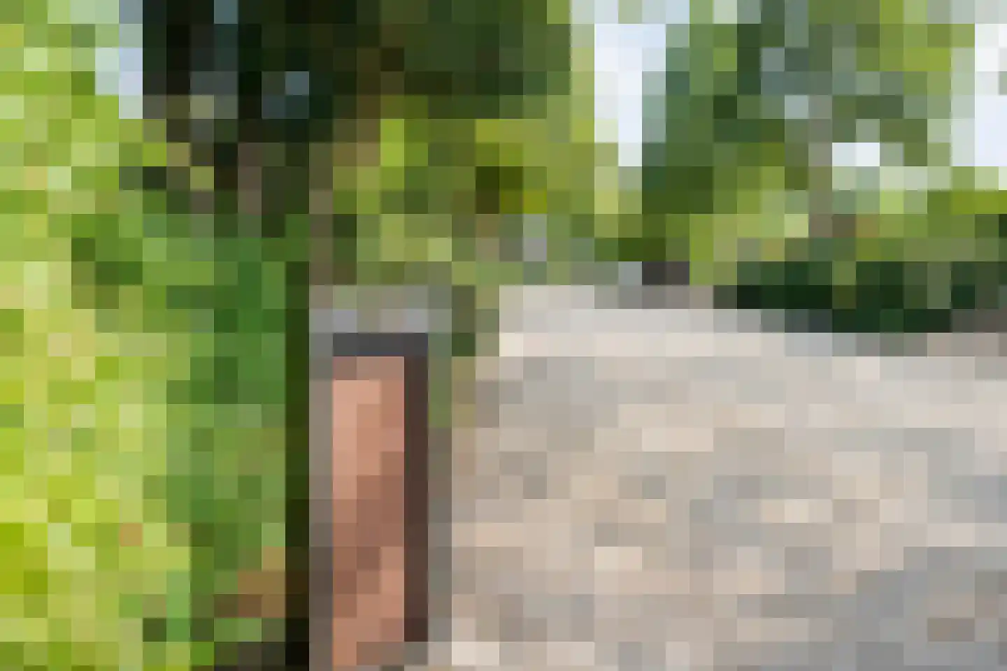 De Weidenweg 70 Ruinerwold thumbnail 87