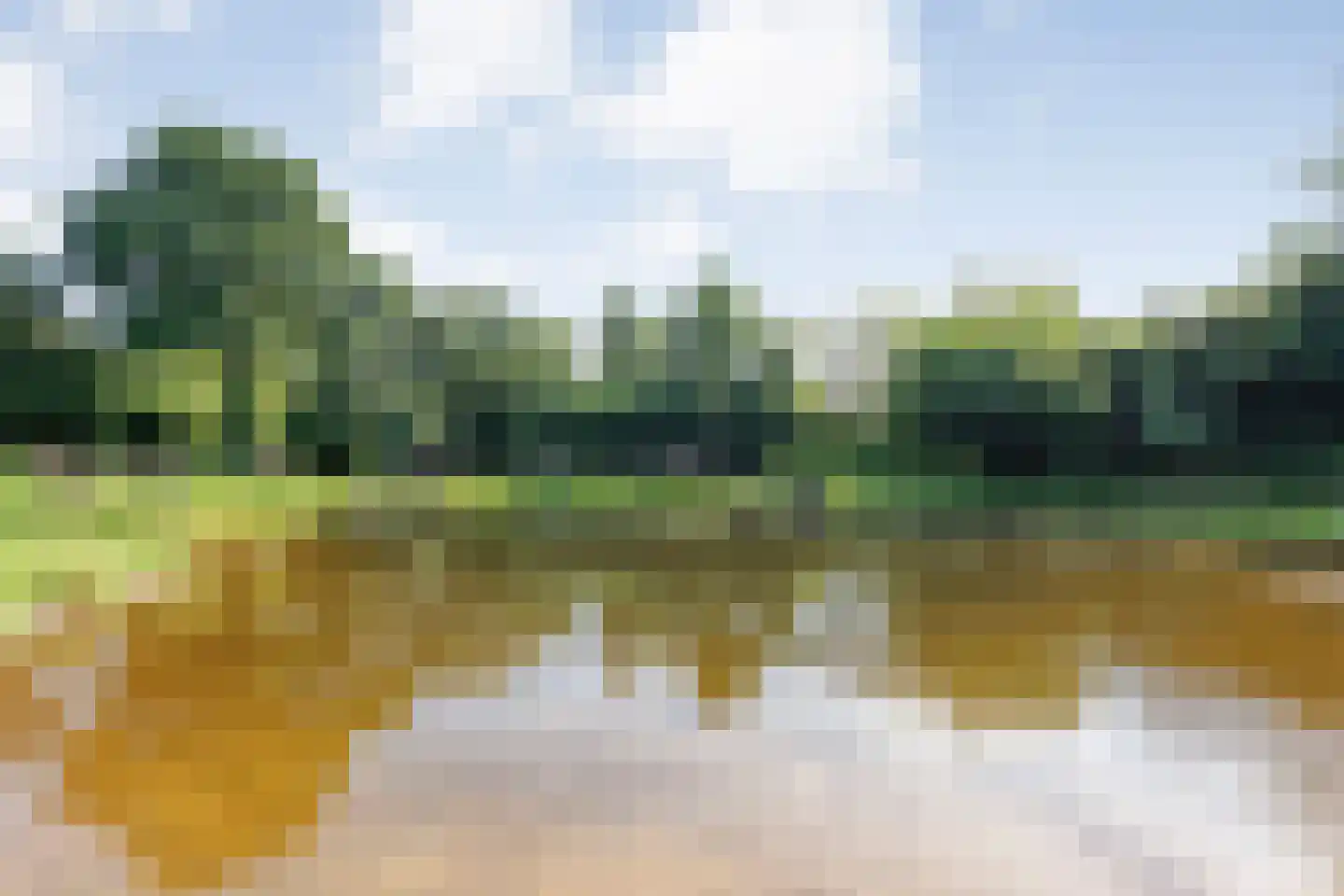 De Weidenweg 70 Ruinerwold thumbnail 87