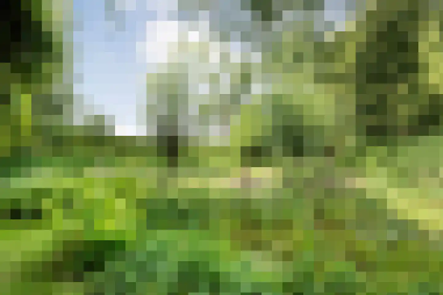De Weidenweg 70 Ruinerwold thumbnail 88